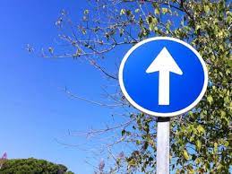 test carnet de conducir - señal obligatorio