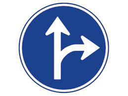 test carnet de conducir - señal varias direcciones