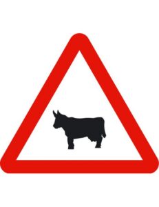 test carnet de conducir - animales domesticos